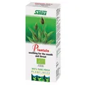 Produktbild: Salus Wegerich Bio Frischpflanzensaft - 200ml
