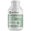 Produktbild: AniForte Teufelskralle Gelenk Kapseln für Hunde 100 Stück - Gelenktabletten als praktische Kapsel, 100% Naturprodukt Gelenke Pulver, Hohe Akzeptanz beim Hund