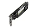Produktbild: PNY NVIDIA T400 4GB - Grafikkarten - T400 - 4 GB GDDR6
