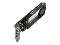 Produktbild: NVIDIA T400 4GB - Grafikkarten - T400 - 4 GB #BL052
