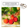 Produktbild: Erdbeerbaum Samen (Arbutus unedo) - Immergrüner Obstbaum mit exotischen Früchten und wunderschönen Blüten