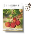 Produktbild: Erdbeerbaum Samen (Arbutus unedo) - Immergrüner Obstbaum mit exotischen Früchten