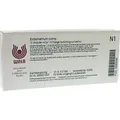 Produktbild: Endometrium comp.Ampullen 10X1 ml