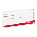 Produktbild: Endometrium Comp. Ampullen