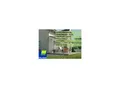 Produktbild: Palram Canopia Feria Terrassenüberdachung anthrazit 546x295x260-305 in cm (LxBxH)