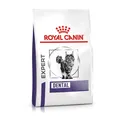 Produktbild: Royal Canin Expert Dental 1,5 kg | Katzen | Zähne | Zahnfleisch