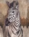 Produktbild: Vlies-Fototapete KOMAR ADVENTURE ZEBRA, 4 Teile, BxH 200 x 250 cm
