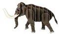 Produktbild: Fridolin 3D Papiermodell Mammut