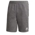 Produktbild: Adidas Tiro21 Shorts Grfome S