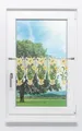 Produktbild: Plauener Spitze® Scheibengardine Blumenpracht (1 St), transparent, HxB 30x49.5cm