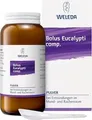Produktbild: Bolus Eucalypti Comp.pulver 35 g
