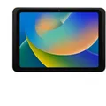 Produktbild: Dame Wall 2.0 iPad 10.9 (10th gen.) (DSP-2-11-1009-12-C)