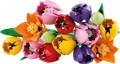 Produktbild: LEGO 11501 - LEGO Botanicals - Tulpenstrauß