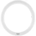 Produktbild: RADIUM LED Röhrenlampe ESSENCE RL-T9 C32 EM, Ringform Ø 30cm, G10q, 20W 6500K 2000lm 120°, matt RA43218813