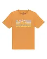 Produktbild: Quiksilver T-Shirt, kurzärmlig, EV Light Waves SS, Braun 12