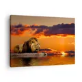 Produktbild: Wandbilder 70x50cm Leinwandbild Löwe Sonne Landschaft Klein Bilder Art Wanddeko