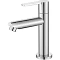 Produktbild: Wasserhahn Kaltwasser, Standventil, Standard Chrom, abnehmbar, Edelstahl, 9L/min