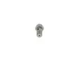 Produktbild: BOSCH 2417413101 für DAF RENAULT