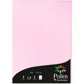 Produktbild: Pollen Papier (120 g/m², 120 x, A4) (4213C)