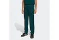 Produktbild: adidas Originals Sporthose FIREBIRD PANTS (1-tlg)