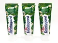 Produktbild: ✅ Zahncreme Tube Colgate Dentagard Zahnpasta Kräuter 3x 75ml ✅