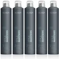 Produktbild: Revlon Style Masters Modular Hairspray 5 x 500ml = 2500ml