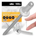Produktbild: 100x Blindnieten 4x8 mm Nieten Niet Set Popnieten Blindniet Aluminium Stahl