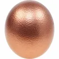Produktbild: Straußenei Kupfer Deko Ei Ausgeblasen Osterdeko 12cm