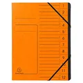 Produktbild: Exacompta Ordnungsmappe 12 Fächer orange, 1 St.
