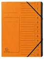Produktbild: Exacompta 541204E Premium Ordnungsmappe geheftet. Aus extra starkem Colorspan-Karton DIN A4 12 schwarze Fächer und 2 Gummizüge mit Organisationsdruck Ringmappe Register-Mappe orange