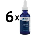 Produktbild: 6 x Trace Minerals Ionic Calcium, 200mg - 59 ml (338,95 EUR/L)