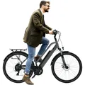 Produktbild: AsVIVA B15 E-Bike 28