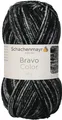 Produktbild: Schachenmayr Bravo Color 9801421-02114 graphit denim Handstrickgarn, 15 x 7 x 7 cm, Häkelgarn