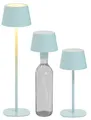 Produktbild: B-Ware Northpoint 3in1 LED Tischlampe Flaschenleuchte max. 45cm hoch mit 3000mAh