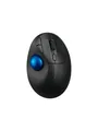 Produktbild: Kensington Pro Fit Ergo TB450 Trackball - Maus (Schwarz)