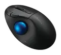 Produktbild: KENSINGTON K72194WW Trackball ProFit Ergo TB450, schwarz