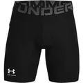 Produktbild: Under Armour Shorts
