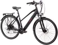Produktbild: Tretwerk E-Bike Trekkingrad Seville 5.0, 24 Gang Shimano, Kettenschaltung, Heckmotor, 418 Wh, Pedelec, Elektrofahrrad für Damen u. Herren
