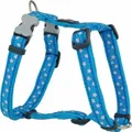 Produktbild: Hundegeschirr Red Dingo Style Blau Stern 25-39 cm