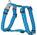 Produktbild: Red Dingo Hunde-Geschirr Hundegeschirr Style Blau Stern 25-39 cm