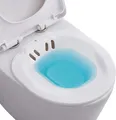 Produktbild: Sitzbad für die Toilette Tragbares Sitzbadewanne Wochenbettpflege ca. 2,2 Liter