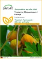 Produktbild: SAFLAX  - Tropischer Melonenbaum / Papaya - Carica - 30 Samen