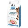 Produktbild: BRIT Care Grain-Free Große Katzen Power & Vitality 2kg