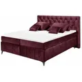 Produktbild: ed exciting design Boxspringbett, Weinrot, Textil, Uni, H2, 7-Zonen, Höhe ca. 16 cm, Rechteckig,Rechteckig, 180x200 cm, Schlafzimmer, Betten, Boxspringbetten