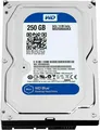 Produktbild: Festplatte WESTERN DIGITAL BLUE 250GB WD2500AAKX 16MB 7200U/min SATA III 3.5