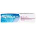 Produktbild: Mykoderm Heilsalbe Nystatin u.Zinkoxid 25 g