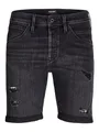 Produktbild: JJIRICK JJFOX Shorts AM 310 SN