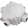 Produktbild: Pawbol Anschlussdose IP67 4xPG21,5 5 Klemmen 27P grau A.0036 (A.0036)