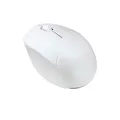 Produktbild: ASUS MD101 Optische Wireless Maus weiß