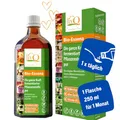 Produktbild: livQ Bio-Essenz pur - Fermentiertes Naturkonzentrat • Vitamin B12 fürs Immunsystem, Fruchtig-saurer Geschmack mit 31 Zutaten, Rohkost, Glutenfrei, Mit Milchsäurebakterien, 250ml für 1 Monat
